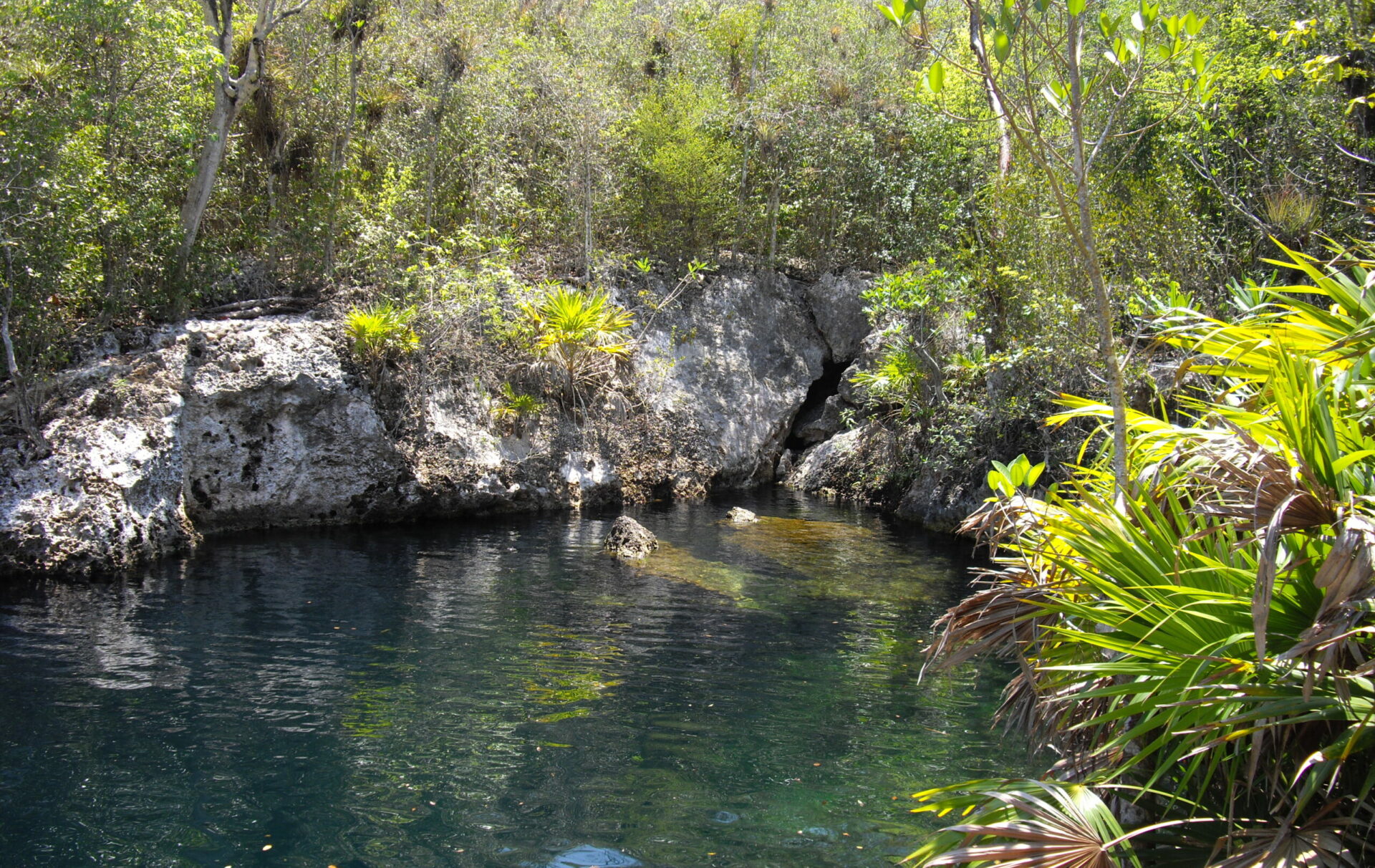 Ecotourisme Cuba